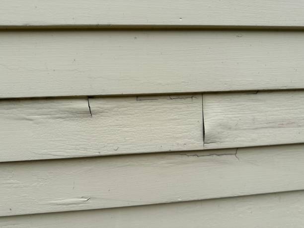 Custom Trim and Detailing for Siding in Kealakekua, HI